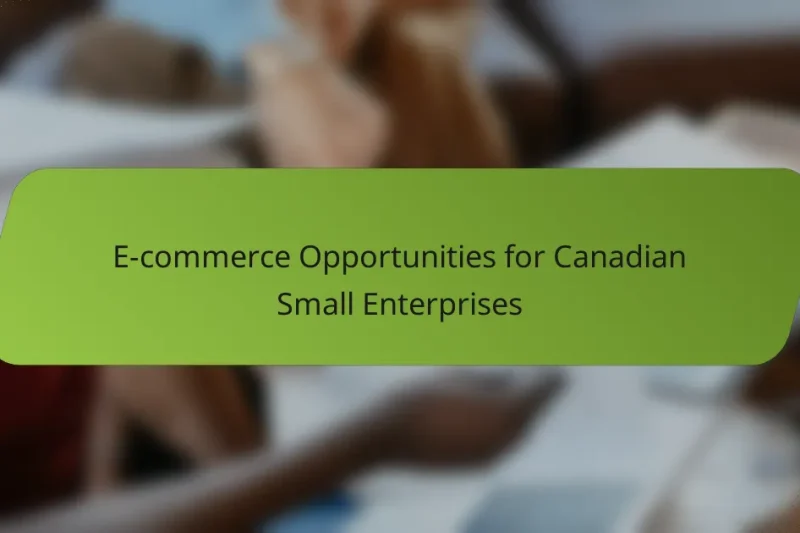 E-commerce Opportunities for Canadian Small Enterprises