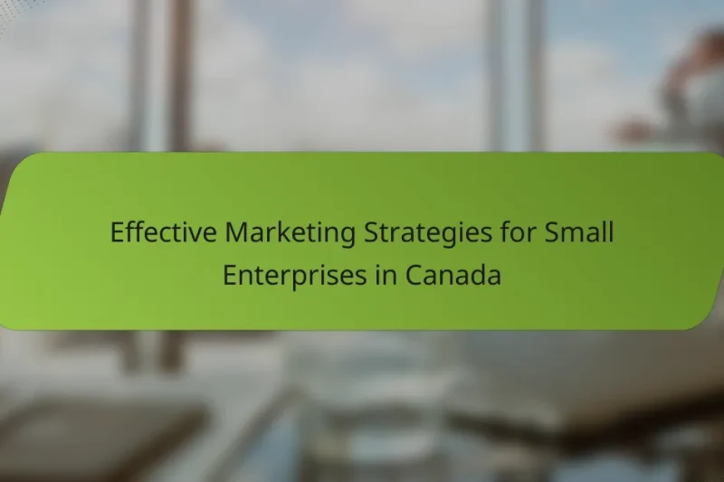 Effective Marketing Strategies for Small Enterprises in Canada