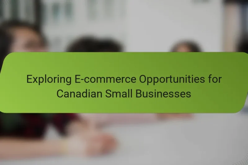 Exploring E-commerce Opportunities for Canadian Small Businesses