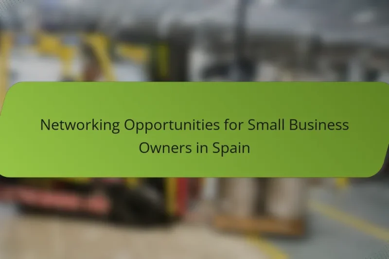 Networking Opportunities for Small Business Owners in Spain