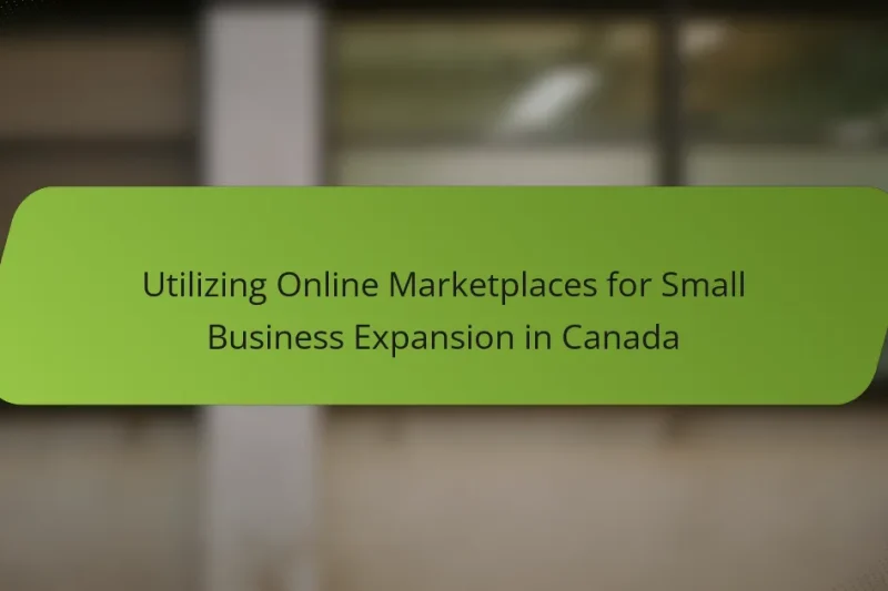 Utilizing Online Marketplaces for Small Business Expansion in Canada