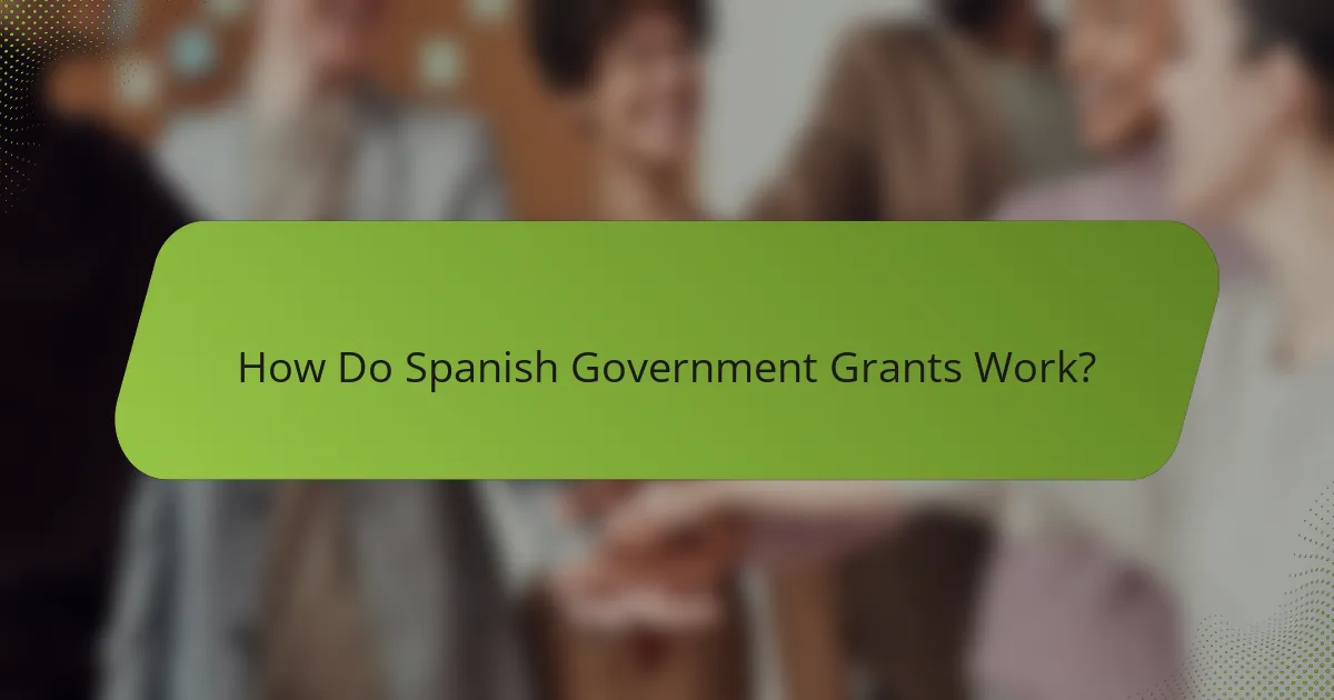 How Do Spanish Government Grants Work?