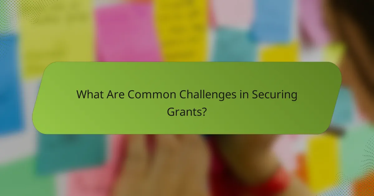 What Are Common Challenges in Securing Grants?