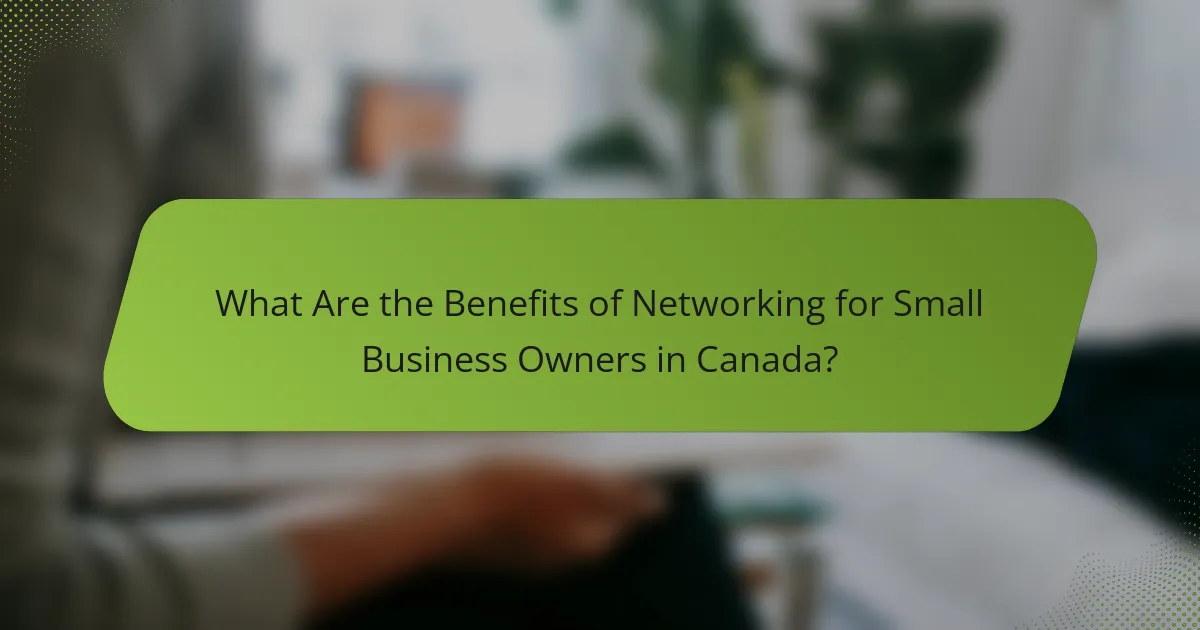 What Are the Benefits of Networking for Small Business Owners in Canada?