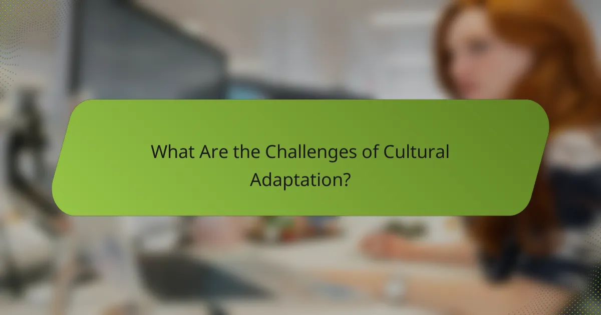 What Are the Challenges of Cultural Adaptation?