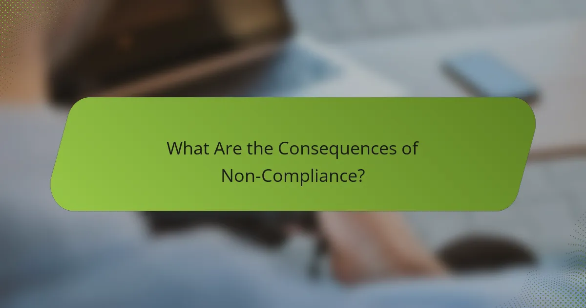 What Are the Consequences of Non-Compliance?