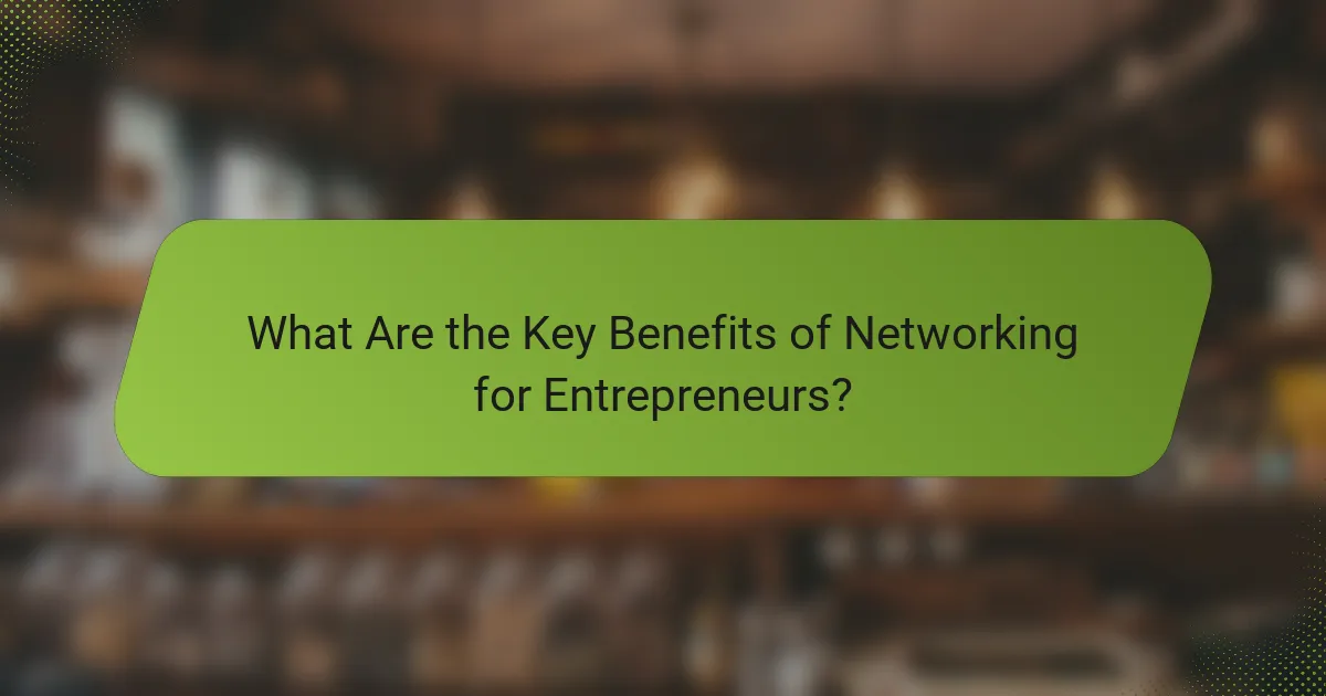 What Are the Key Benefits of Networking for Entrepreneurs?