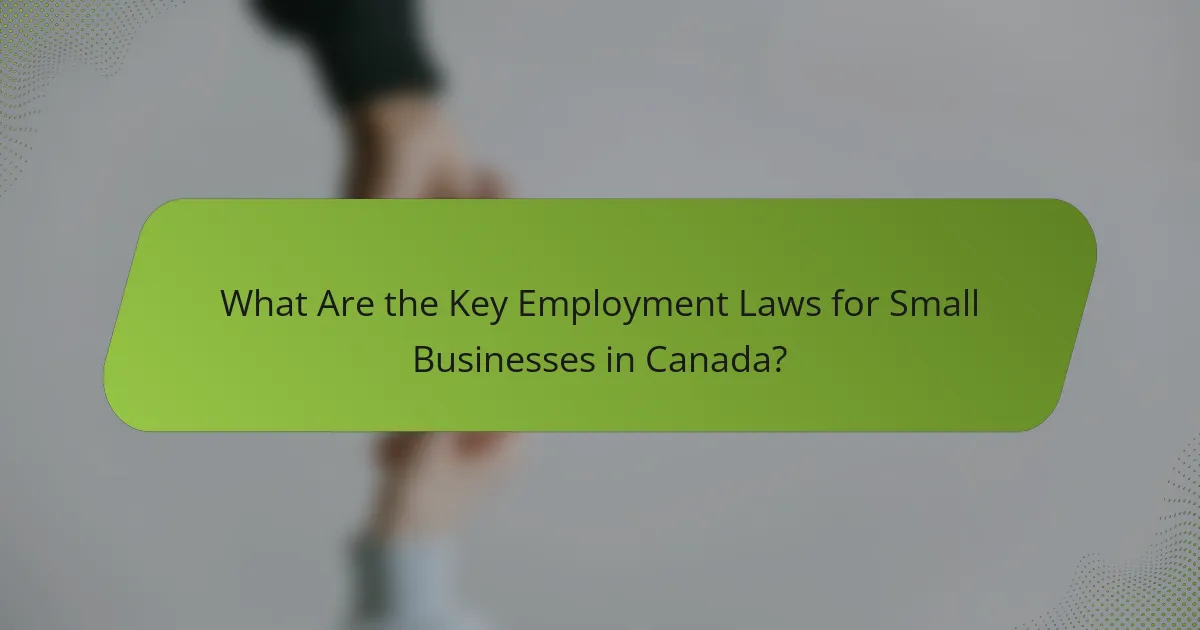 What Are the Key Employment Laws for Small Businesses in Canada?