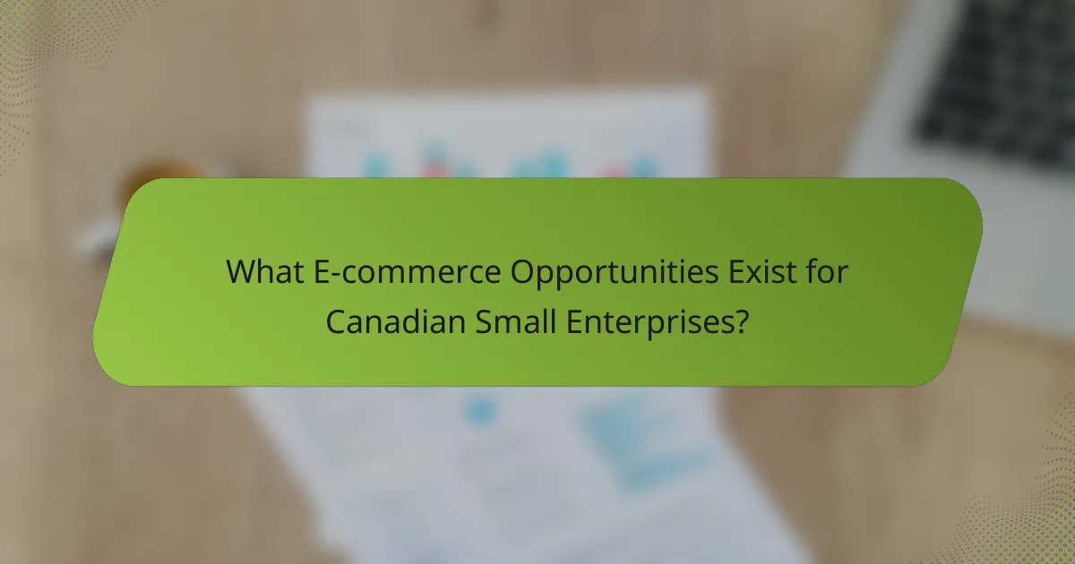 What E-commerce Opportunities Exist for Canadian Small Enterprises?