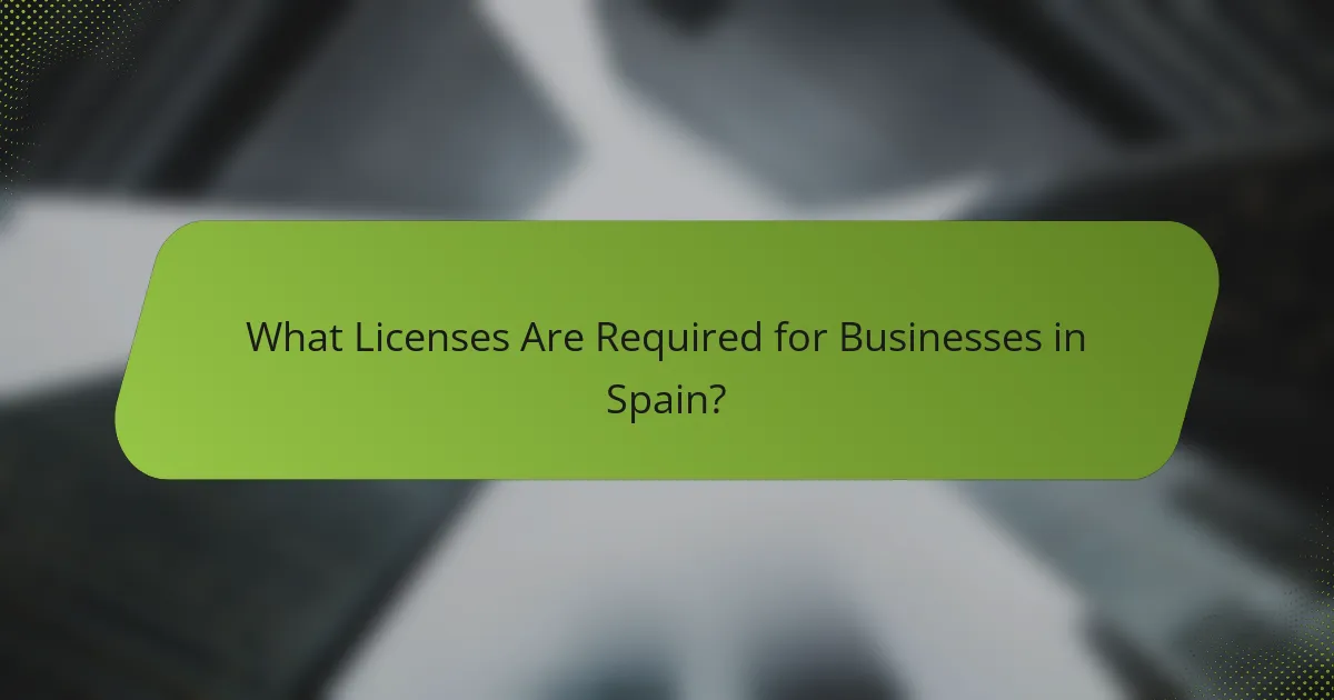 What Licenses Are Required for Businesses in Spain?