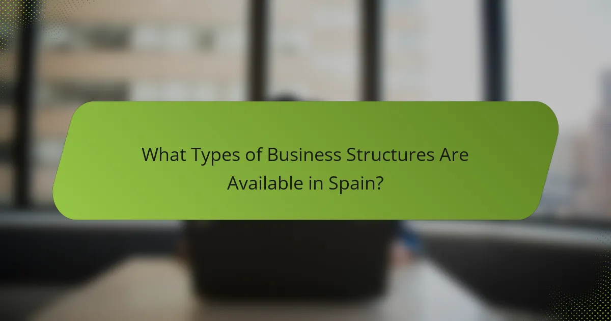 What Types of Business Structures Are Available in Spain?
